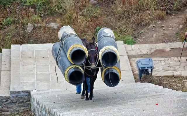 宁波马帮运输